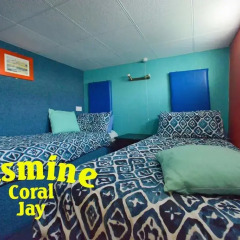Отель Jasmine Coral Jay комната для гостей