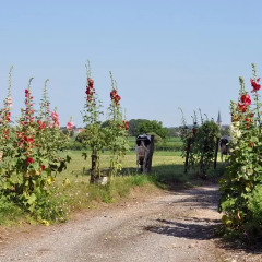 Отель De Traverse