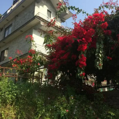 Отель Tourist Hostel Непал, Покхара - отзывы, цены и фото номеров - забронировать отель Tourist Hostel онлайн фото 5
