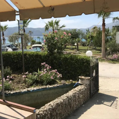 Hotel Alba-Gert фото 6