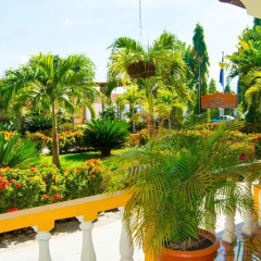Hotel Antigua Comayagua фото 2