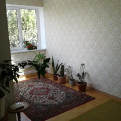 Отель Guest house Semeynyi Кыргызстан, Каракол - отзывы, цены и фото номеров - забронировать отель Guest house Semeynyi онлайн интерьер отеля