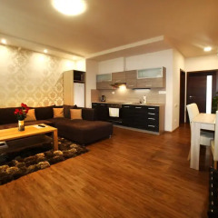 Отель Apartmán Livingstone Roudna Пльзень комната для гостей фото 2