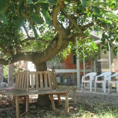 Отель B&B Sardaferie Ористано фото 3
