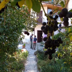 Отель Nina B&B Армения, Дилижан - отзывы, цены и фото номеров - забронировать отель Nina B&B онлайн помещение для мероприятий