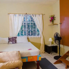 Отель Ackee Tree Sea View Villa комната для гостей фото 2