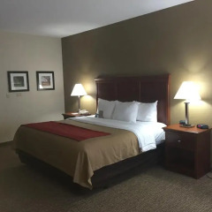 Отель Comfort Inn Louisville 2* Стандартный номер с различными типами кроватей фото 3