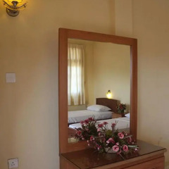 Hotel Red Rose 2* Стандартный номер с различными типами кроватей фото 11