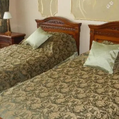 Hotel Alisa 3* Стандартный номер с 2 отдельными кроватями фото 16