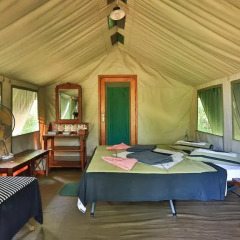 Отель Kulu Safaris Mobile Tented Camping Шри-Ланка, Тиссамахарама - отзывы, цены и фото номеров - забронировать отель Kulu Safaris Mobile Tented Camping онлайн комната для гостей фото 2