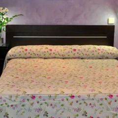 Отель Hostal Naranjos II комната для гостей фото 5