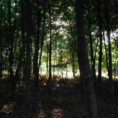 Отель Casa de Abbades фото 5