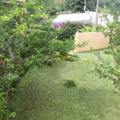 Отель Aparthotel Jardin Tropical фото 4