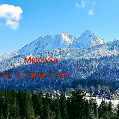 Отель Willa Carpe Diem Косцелиско фото 2