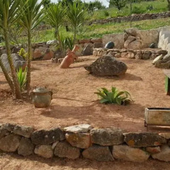 Отель Quinta De Sao Martinho