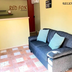 Отель Red Fox Guesthouse Стандартный номер с различными типами кроватей фото 2
