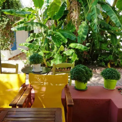 Отель Saronis Hotel Греция, Агистри - отзывы, цены и фото номеров - забронировать отель Saronis Hotel онлайн фото 12