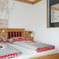 Отель Tischlmühle Appartements & mehr Студия с различными типами кроватей фото 3