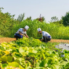 Отель La Posa degli Agri Италия, Лимена - отзывы, цены и фото номеров - забронировать отель La Posa degli Agri онлайн спортивное сооружение