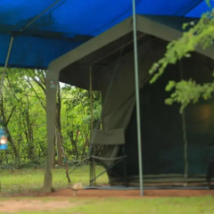 Отель Big Game Camp Yala Другое фото 8