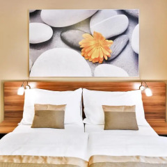 Vista Hotel 4* Стандартный номер фото 3