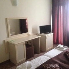 Detelina Hotel удобства в номере