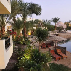 Отель Dawar el Omda 3* Стандартный номер с различными типами кроватей фото 3