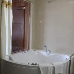 Гостиница Grand Aiser 4* Люкс с различными типами кроватей фото 18