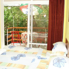 Отель Villa Exotica детские мероприятия фото 2