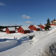 Отель Lillehammer Fjellstue 3* Коттедж с различными типами кроватей фото 24