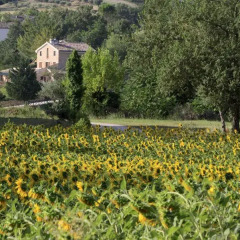 Отель Agriturismo Agra Mater Италия, Монтекассино - отзывы, цены и фото номеров - забронировать отель Agriturismo Agra Mater онлайн приотельная территория фото 2