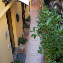 Отель Palermo Central Holiday Италия, Палермо - отзывы, цены и фото номеров - забронировать отель Palermo Central Holiday онлайн фото 3