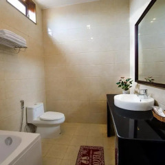 Отель Bien Dao Homestay Hoi An 3* Стандартный номер с различными типами кроватей
