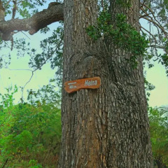 Отель Heina Nature Resort & Yala Safari 2* Шале с различными типами кроватей фото 23