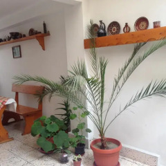 Отель Gloria Holiday House интерьер отеля
