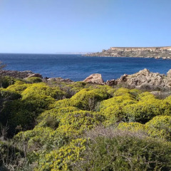 Отель Claureece Court Mgarr Мджарр пляж фото 2