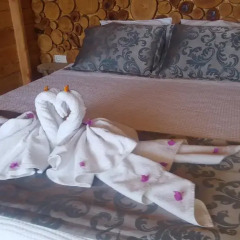 Seaview Faralya Butik Hotel Номер Делюкс с различными типами кроватей фото 23