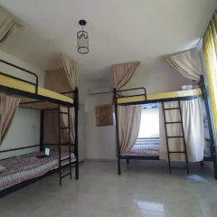 Green Garden Hostel удобства в номере