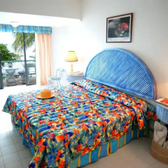 Shaw Park Beach Hotel 3* Улучшенный номер с различными типами кроватей фото 3