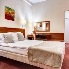 Metropol Hotel 3* Стандартный номер с разными типами кроватей фото 2