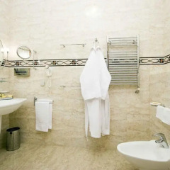 Гостиница Атон 5* Номер Бизнес с различными типами кроватей фото 12