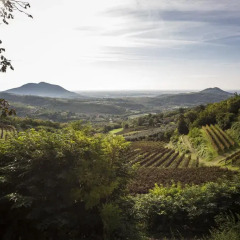 Отель Agriturismo Le Volpi Италия, Региональный парк Colli Euganei - отзывы, цены и фото номеров - забронировать отель Agriturismo Le Volpi онлайн фото 2