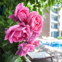 Отель Sun Gate Aparthotel Болгария, Солнечный берег - отзывы, цены и фото номеров - забронировать отель Sun Gate Aparthotel онлайн