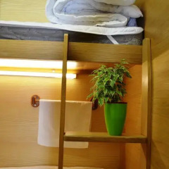Гостиница Antihostel Forrest Стандартный номер фото 13