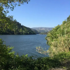 Отель Pedacinho de Mundo Douro фото 2