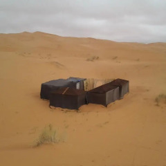 Отель Desert Camel Camp Марокко, Мерзуга - отзывы, цены и фото номеров - забронировать отель Desert Camel Camp онлайн пляж