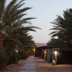 Отель Auberge Sahara Garden Марокко, Мерзуга - отзывы, цены и фото номеров - забронировать отель Auberge Sahara Garden онлайн помещение для мероприятий