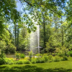Отель Insel Mühle Германия, Мюнхен - отзывы, цены и фото номеров - забронировать отель Insel Mühle онлайн приотельная территория