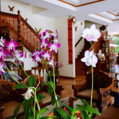 Отель The Orchid House пляж Ката спа фото 2