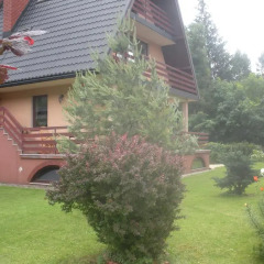 Отель Pokoje Goscinne Na Stromej Закопане фото 21